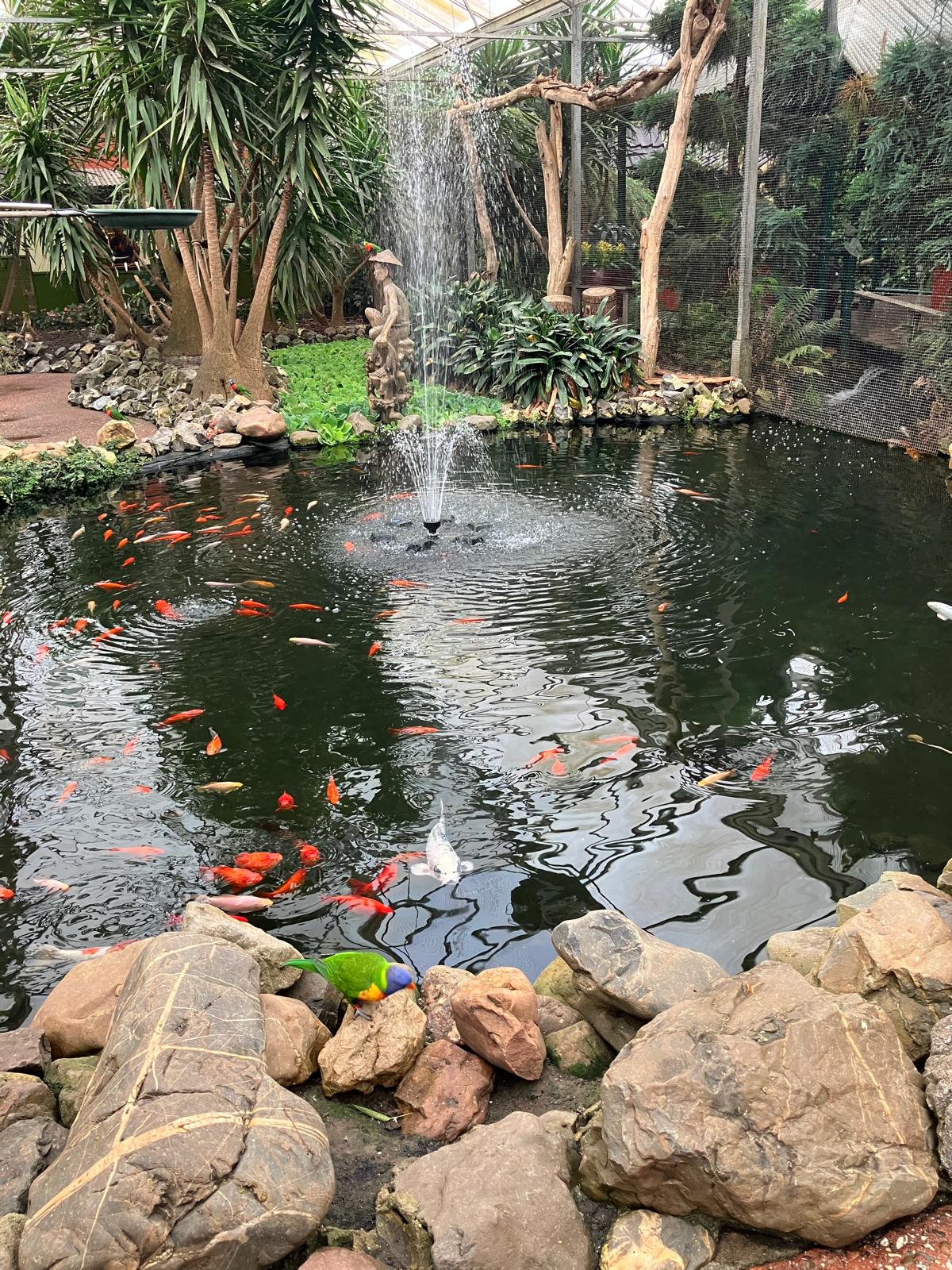 Foto 42 bij artikel "Uitje naar de Orchideenhoeve in Luttelgeest".